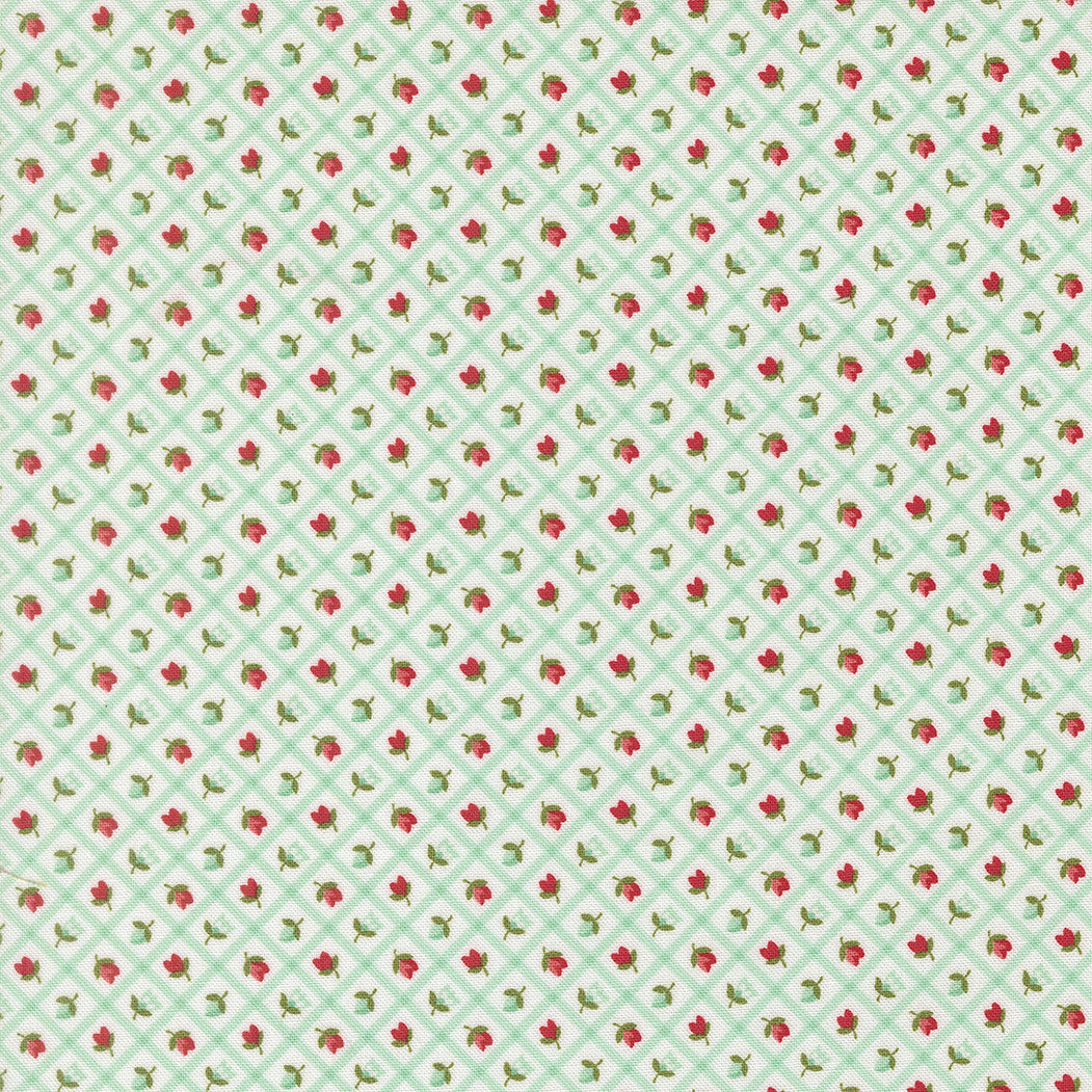 PRESALE Bloomsberry Check Aqua Yardage by Camille Roskelley for Moda Fabrics | 55358 23