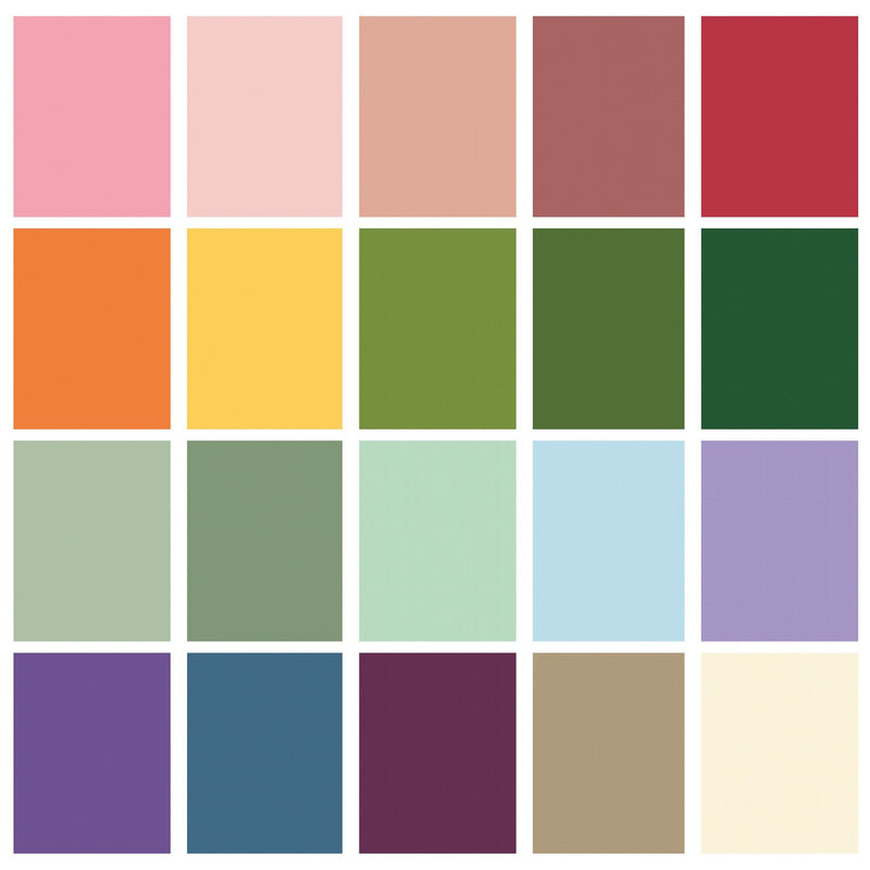POParazzi New Colors Custom Half Yard Bundle by RBD Designers for Riley Blake Designs | 20 Half Yards