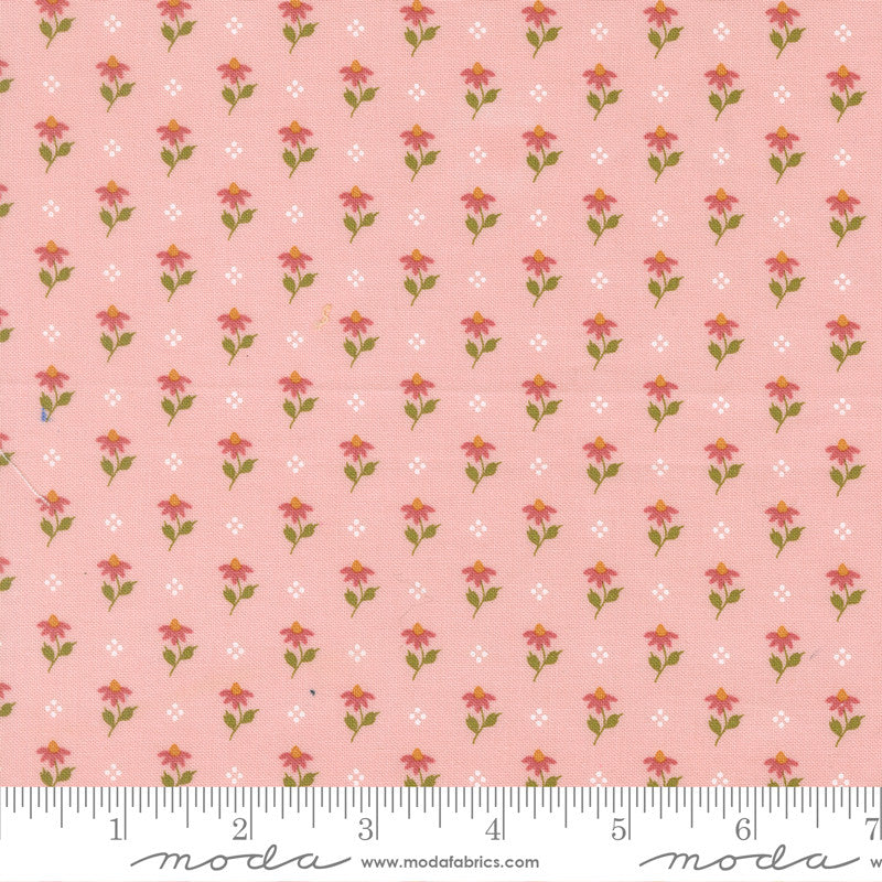 PRESALE Wild Honey Bumbling Posies Carnation Yardage by Lella Boutique for Moda Fabrics | 5252 12