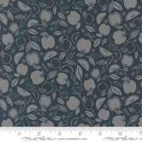 Rainier Apple Crisp Deep Sea Yardage by Jessica Rose for Moda Fabrics | 38143 13