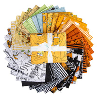 Scary Scraps Fat Quarter Bundle by J. Wecker Frisch for Riley Blake Designs | 37 Pcs | FQ-17600-37