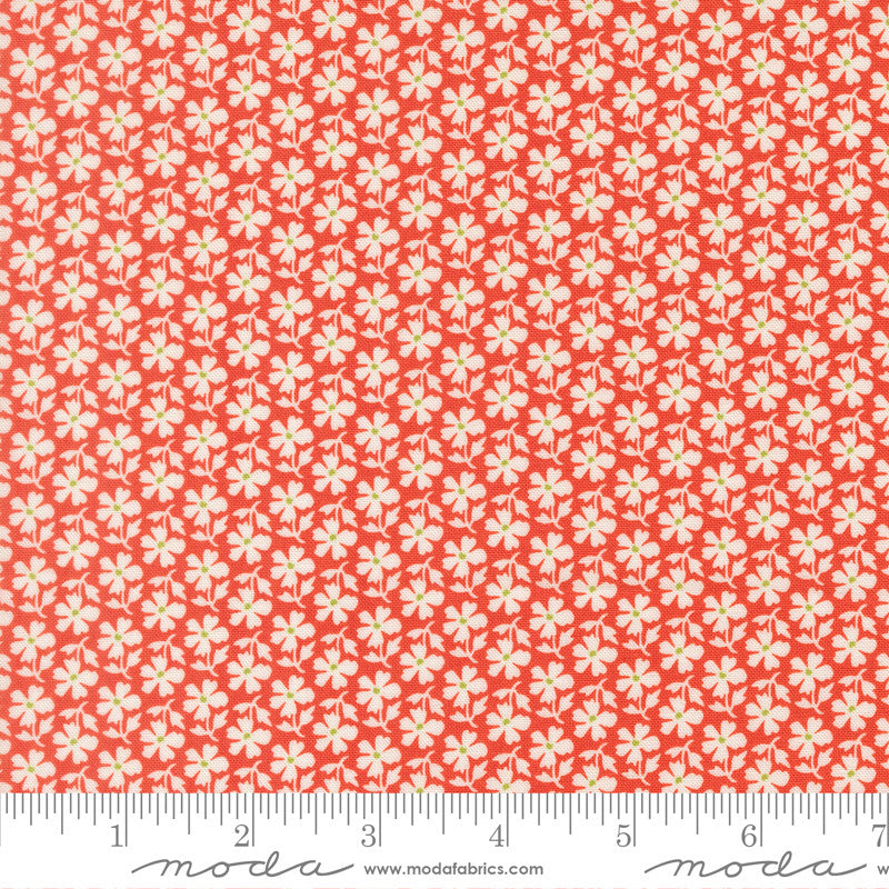 Summers End Persimmon Yardage by Fig Tree & Co for Moda Fabrics | 35434 16