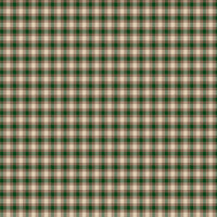 Plaid-Venture Club Scout Forest Yardage by The RBD Designers for Riley Blake Designs | C17042-FOREST