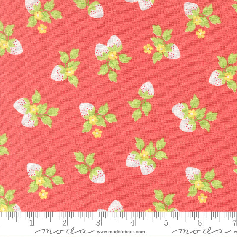 Fruit Salad Strawberries Flamingo Yardage by Corey Yoder for Moda Fabrics | 29243 12