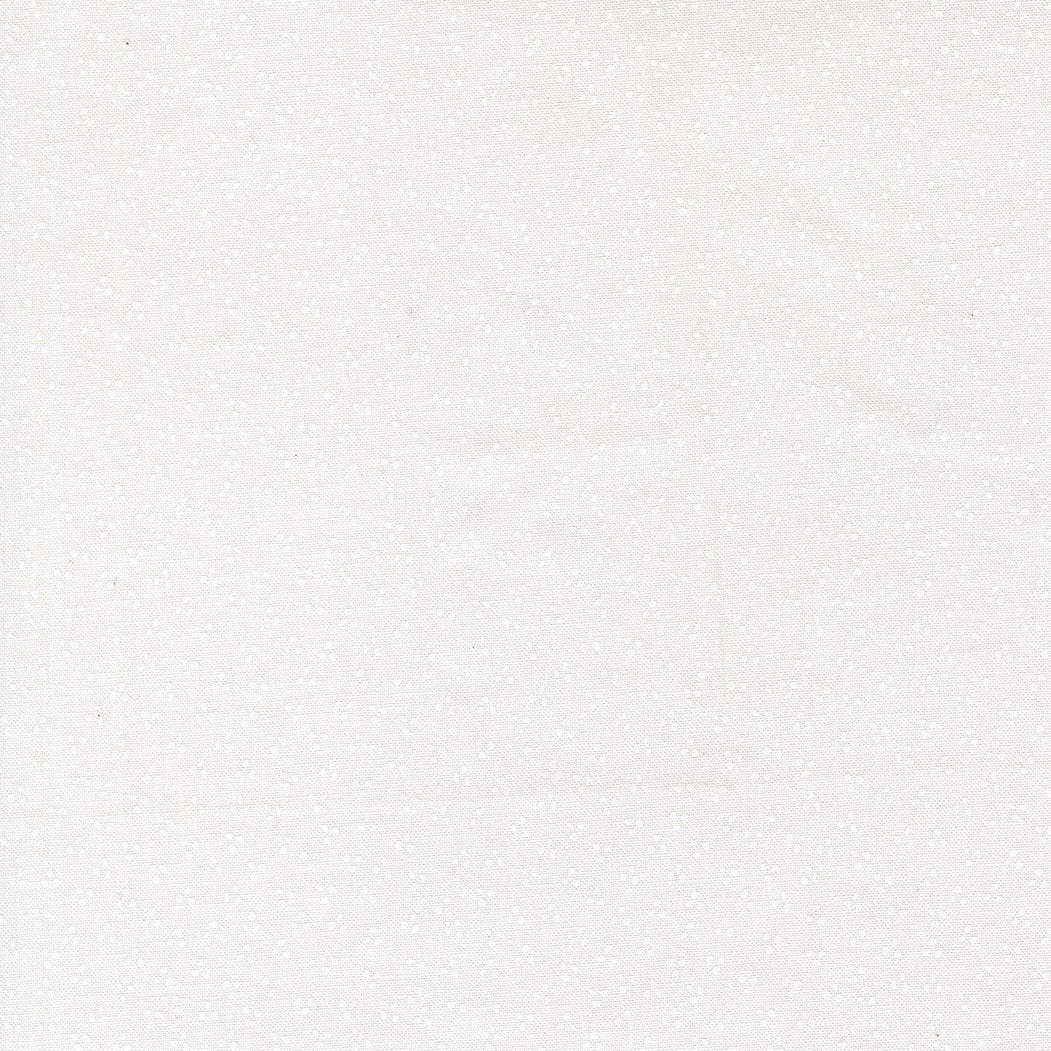 PRESALE Birch and Willow Cloud White Yardage by Sherri & Chelsi for Moda Fabrics | 37728 21