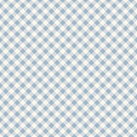 Freedom Garden Gingham Sky Yardage by My Mind's Eye for Riley Blake Designs | C15624-SKY