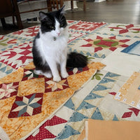 Turn Back Time Custom Quilt Kit With Sallys Stitches by Betsy Chutchian | An Heirloom Sampler | Quilt Size 81" x 81"