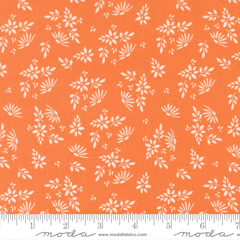 PRESALE Birch and Willow Flora Pumpkin Yardage by Sherri & Chelsi for Moda Fabrics | 37721 14