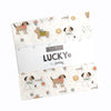 Lucky Charm Pack 5" by Sweetwater for Moda Fabrics | 55700PP