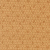 PRESALE Wild Honey Honeycomb Honey Yardage by Lella Boutique for Moda Fabrics | 5253 16
