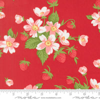 PRESALE Bloomsberry In Bloom Red Yardage by Camille Roskelley for Moda Fabrics | 55350 18