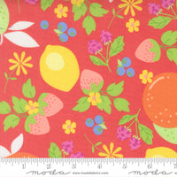 PRESALE Fruit Salad Fruit Flamingo Yardage by Corey Yoder for Moda Fabrics | 29240 12