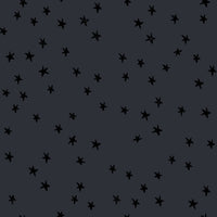PRESALE Starry New Charcoal Yardage by Alexia Abegg for Ruby Star Society | RS4109 91