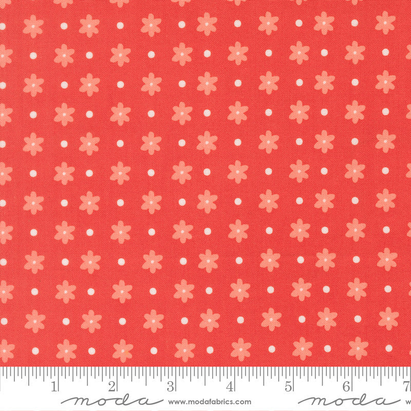 PRESALE Poinsettia and Pear Daisy Dot Geranium Yardage by Sherri & Chelsi for Moda Fabrics | 37713 16