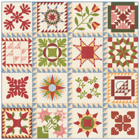 Turn Back Time Custom Quilt Kit With Sallys Stitches by Betsy Chutchian | An Heirloom Sampler | Quilt Size 81" x 81"