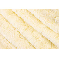 Minky Blanket America's National Parks by Dreamy Blankets for Riley Blake Designs | 100% Minky Polyester