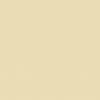 American Jane Pindots Sand by American Jane for Riley Blake Designs | C840-SAND
