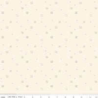 Hush Hush 5 All Boxed In Yardage by Sandy Gervais for Riley Blake Designs | C16955-BOXED