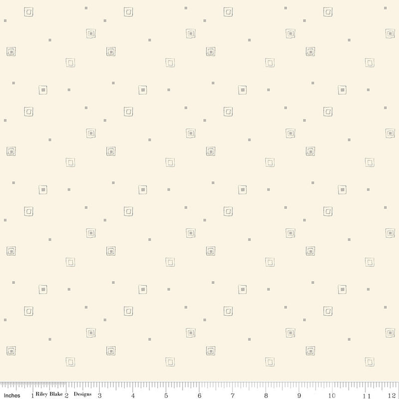 Hush Hush 5 All Boxed In Yardage by Sandy Gervais for Riley Blake Designs | C16955-BOXED