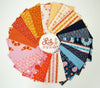 Lil Cactus Ribbon Stripe Yardage by Kimberly Kight for Ruby Star Society and Moda Fabrics |RS3056 11