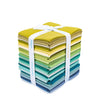 Confetti Cottons Dapper Fat Quarter Bundle by Lori Holt for Riley Blake Designs | 32 Precut Fat Quarters | FQ-LHDAP120-32