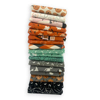 Halloween Fat Quarter Bundle | Frank and Friends by My Mind's Eye for Riley Blake Designs | 17 Fat Quarters | Curated Bundle
