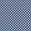 Freedom Garden Gingham Blue Yardage by My Mind's Eye for Riley Blake Designs | C15624-BLUE