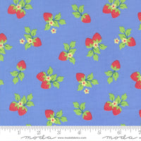 Fruit Salad Gingham Light Blue Yardage by Corey Yoder for Moda Fabrics | 29245 23