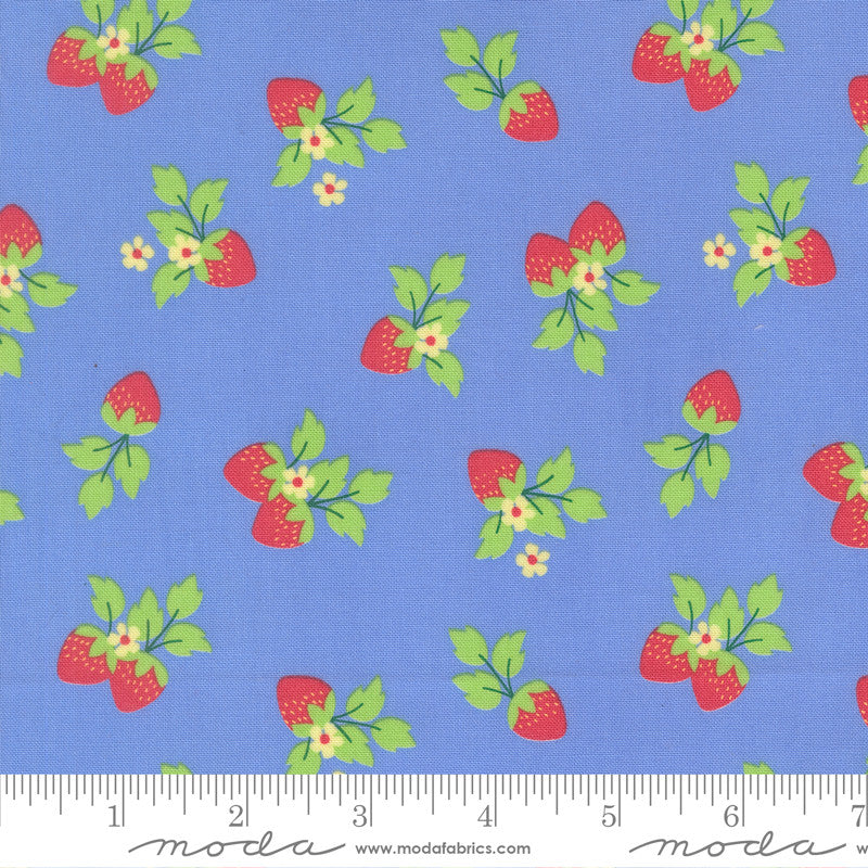 Fruit Salad Gingham Light Blue Yardage by Corey Yoder for Moda Fabrics | 29245 23