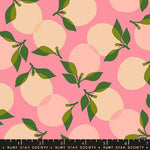 Juicy Tumbling Sorbet Yardage by Melody Miller for Ruby Star Society | Ruby Star Cottons | RS0088 14