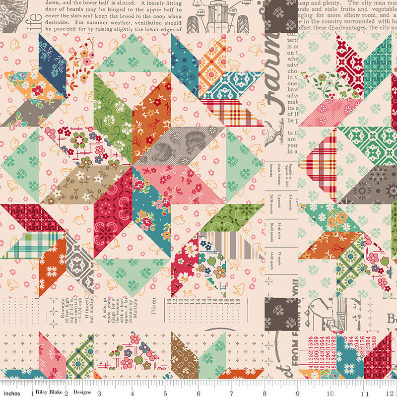 PRESALE Farmers Daughter Home Dec Multi Yardage by Lori Holt of Bee in My Bonnet | HD17191-MULTI