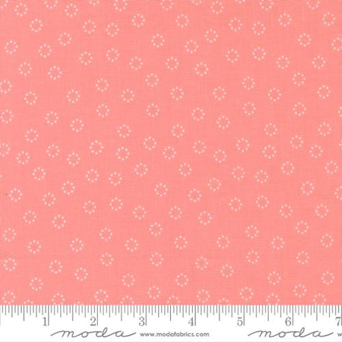Strawberry Lemonade Carnation Daisy Yardage by Sherri and Chelsi for Moda Fabrics | 37677 12 | Quilting Cotton Fabric