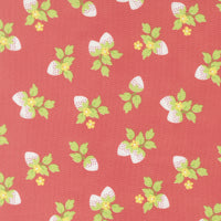Fruit Salad Strawberries Flamingo Yardage by Corey Yoder for Moda Fabrics | 29243 12