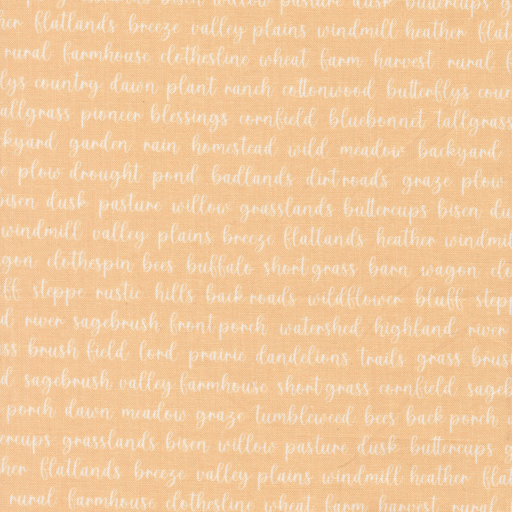 Pastel Prairie Words Apricot Yardage by My Sew Quilty Life for Moda Fabrics | 31784 19