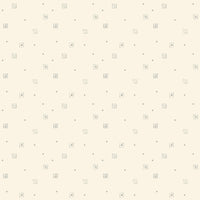 Hush Hush 5 All Boxed In Yardage by Sandy Gervais for Riley Blake Designs | C16955-BOXED