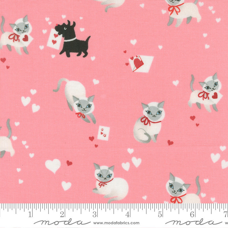 PRESALE Funny Valentine Kitty Ballerina Yardage by Lizzy House for Moda Fabrics | 37140 25