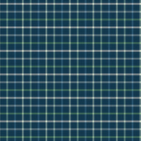 Plaid-Venture Club Camper Navy Yardage by The RBD Designers for Riley Blake Designs | C17047-NAVY