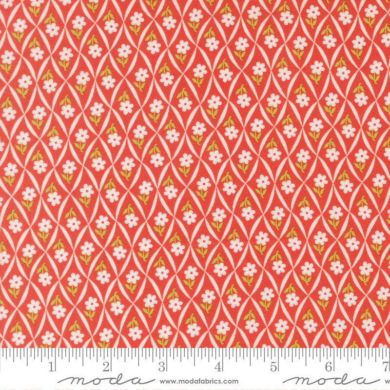 PRESALE Rosie Climbing Daisy Strawberry Yardage by Fig Tree & Co for Moda Fabrics | 35426 14