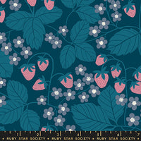 Reimagined Landscapes Strawberry Field Galaxy Yardage by Jen Hewett for Ruby Star Society | RS6054 16