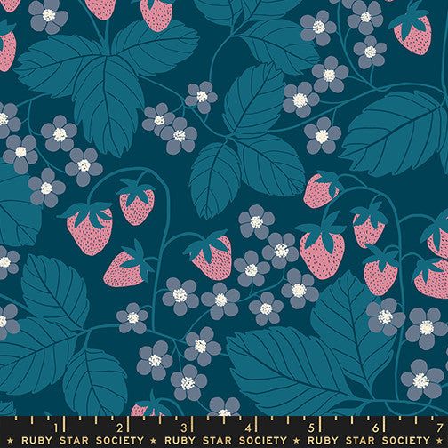 Reimagined Landscapes Strawberry Field Galaxy Yardage by Jen Hewett for Ruby Star Society | RS6054 16