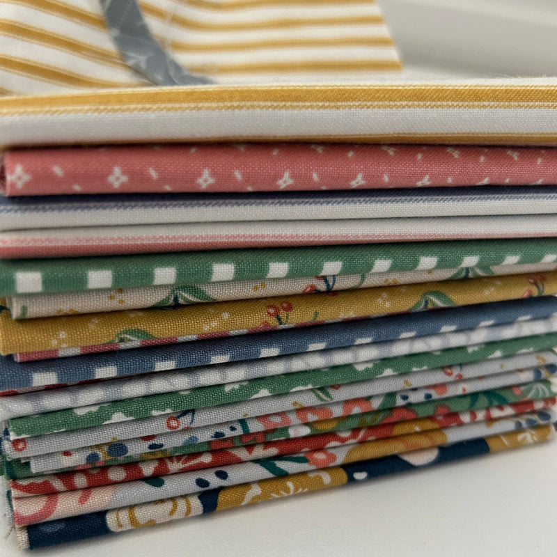 Ivy Reese Custom Fat Eighth Bundle by Deena Rutter for Riley Blake Designs | 17 Fat Eighths