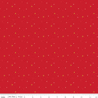 Sparkler Star Schoolhouse Yardage by Melissa Mortenson for Riley Blake Designs | SC651-SCHOOLHOUSE
