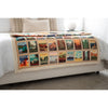 Minky Blanket America's National Parks by Dreamy Blankets for Riley Blake Designs | 100% Minky Polyester