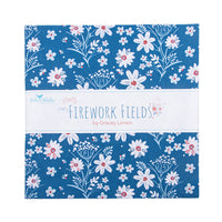 Firework Fields 10" Stacker by Gracey Larson for Riley Blake Designs | 42 Pcs | 10-17580-42