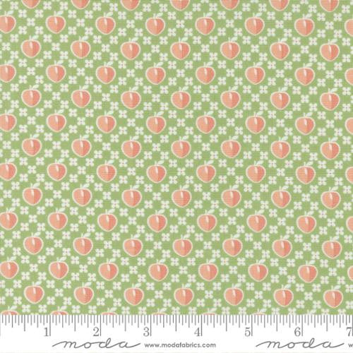 Peachy Keen Fern Peaches Yardage by Corey Yoder for Moda Fabrics | 29171 13