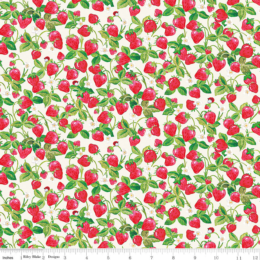 PRESALE The World of Strawberry Shortcake Strawberries Cream Yardage for Riley Blake Designs | C18564-CREAM