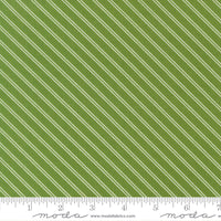 PRESALE Bloomsberry Stripe Green Yardage by Camille Roskelley for Moda Fabrics | 55355 15