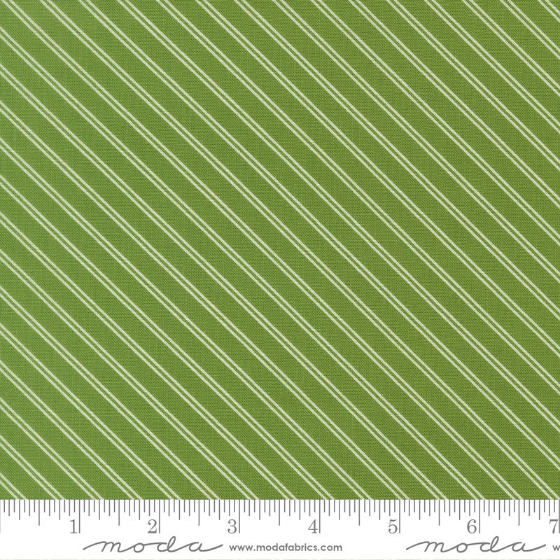 PRESALE Bloomsberry Stripe Green Yardage by Camille Roskelley for Moda Fabrics | 55355 15