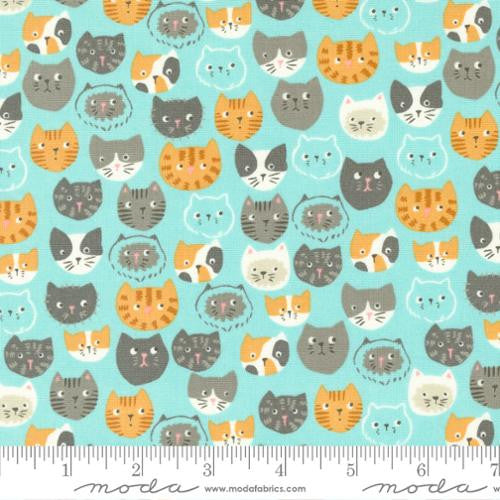Here Kitty Kitty Aqua Cats Yardage by Stacy Iest Hsu for Moda Fabrics |20830 18