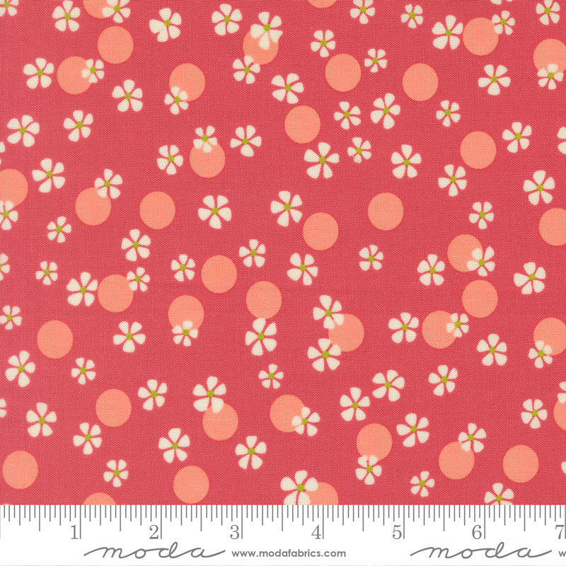 Happy Daze Sweetie Yardage by Chloe’s Closet for Moda Fabrics | 33842 13